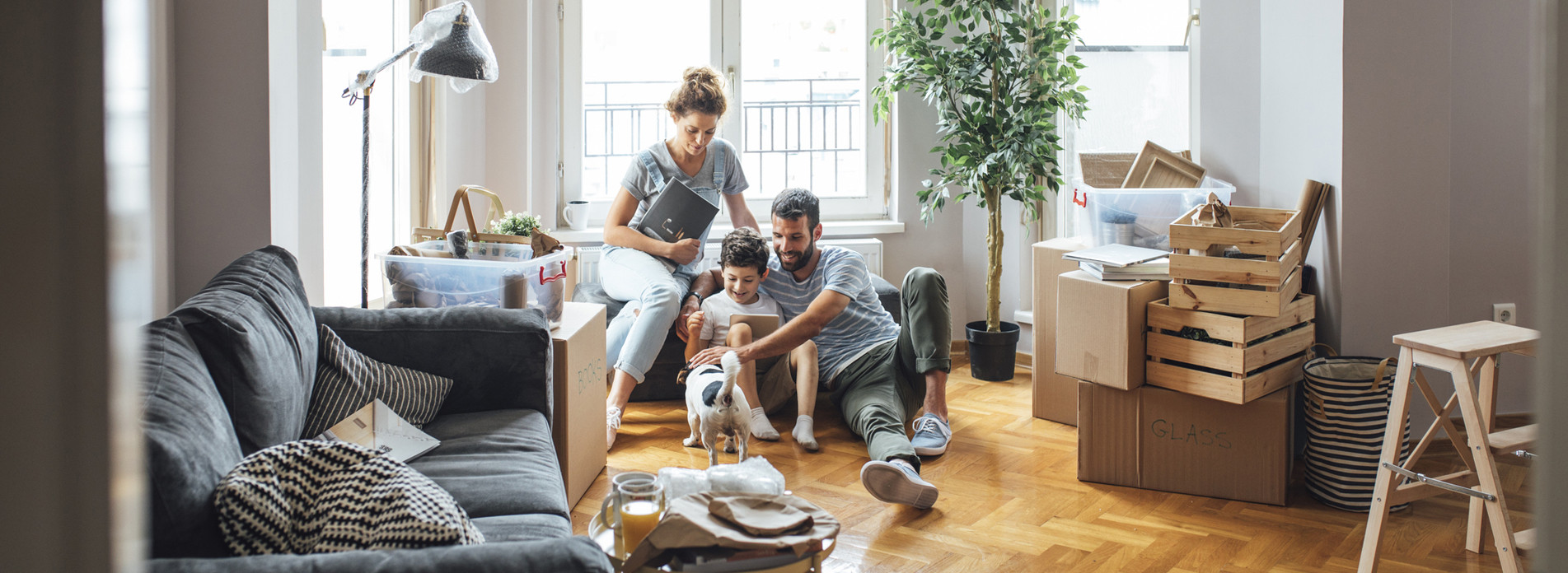 SVS à La Celle-Saint-Cloud, membre du réseau expert Vachette